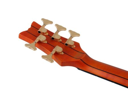 5 cuerdas EMG PickUp:HH ACTIVO Fretless - Image 7