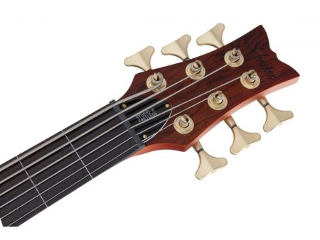 6 cuerdas EMG PickUp:HH ACTIVO Fretless - Image 9