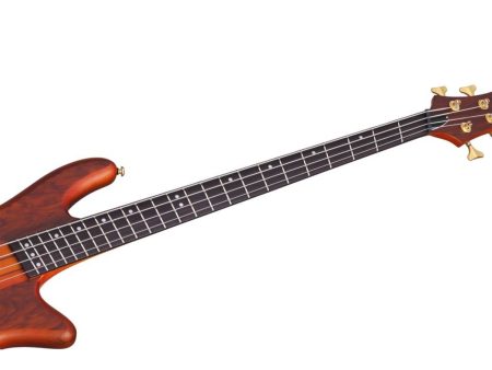 4 cuerdas EMG PickUp:HH ACTIVO Fanned - Image 3