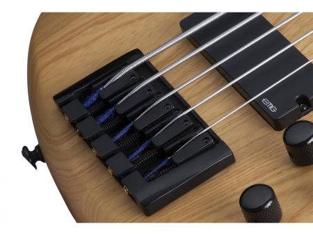 5 cuerdas EMG PickUp:HH Fretless - Image 3