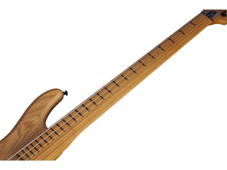 5 cuerdas EMG PickUp:HH Fretless - Image 5