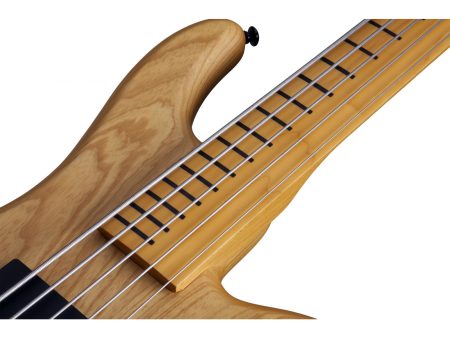 5 cuerdas EMG PickUp:HH Fretless - Image 6