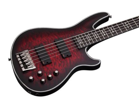 5 cuerdas NeckThru EMG PickUp:HH ACTIVE - Image 4