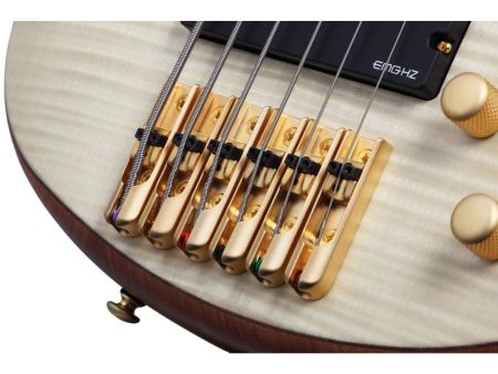 6 cuerdas EMG PickUp:HH ACTIVO Zurdo - Image 4