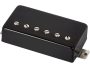 Humbuckers Alnico V