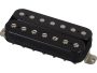 Humbuckers Alnico V
