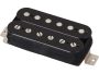 Humbuckers Alnico V