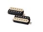 Bobina simple Alnico V