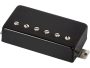 Humbuckers Alnico V