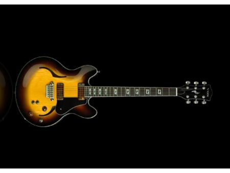 Semi-Hollow Single Cutaway