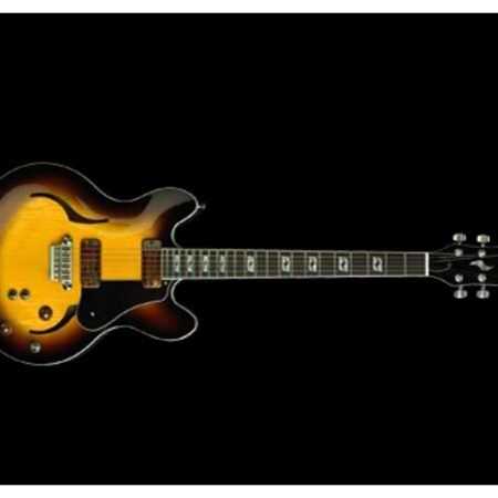 Semi-Hollow Single Cutaway