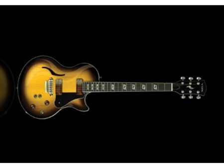 Semi-Hollow Doble Cutaway