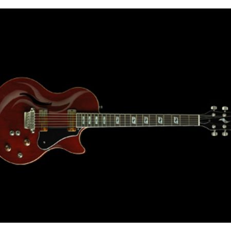 Semi-Hollow Doble Cutaway