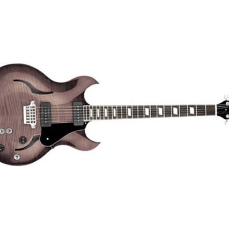 SEMI-HOLLOW-BODY GUITAR