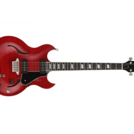 SEMI-HOLLOW-BODY GUITAR
