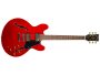 Semi Hueca t/335 - Mango Encolado 2xHumbucker