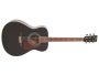 Guitarra Folk Tapa SOLIDA