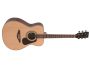 Guitarra Folk Tapa SOLIDA