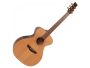 Guitarra GORDON GILTRAP Fishman c/EST