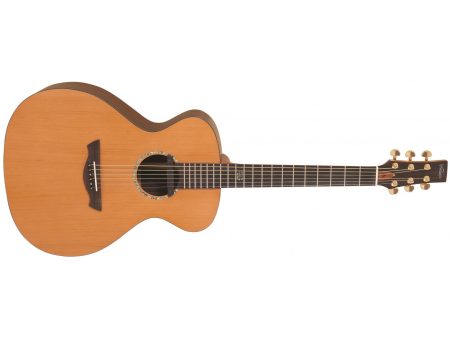 Guitarra GORDON GILTRAP Fishman Fondo SOLIDO c/EST