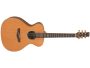 Guitarra GORDON GILTRAP Fishman Fondo SOLIDO c/EST