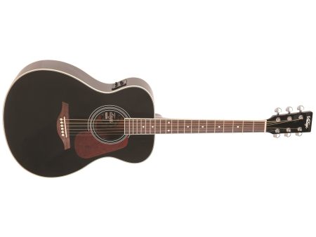 Guitarra Folk Tapa SOLIDA Fishman
