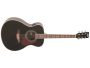 Guitarra Folk Tapa SOLIDA Fishman