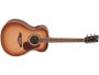 Guitarra Folk Tapa SOLIDA Fishman