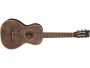 Guitarra de VIAJE Tapa SOLIDA Fishman USB c/FUNDA