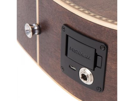Guitarra de VIAJE Tapa SOLIDA Fishman USB c/FUNDA - Image 3