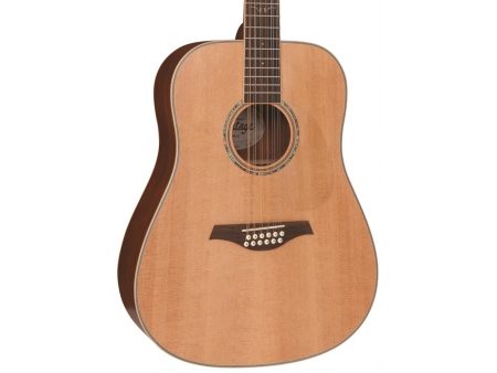 Guitarra Dreadnought Tapa SOLIDA 12 Cuerdas - Image 8