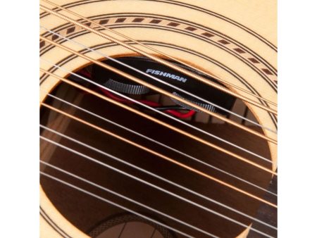 Guitarra de VIAJE T.SOLIDA Fish 12 Cuerdas FUNDA - Image 3