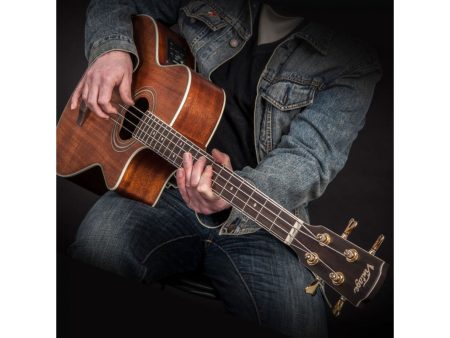 Bajo Tapa SOLIDA Spruce Fishman - Image 2